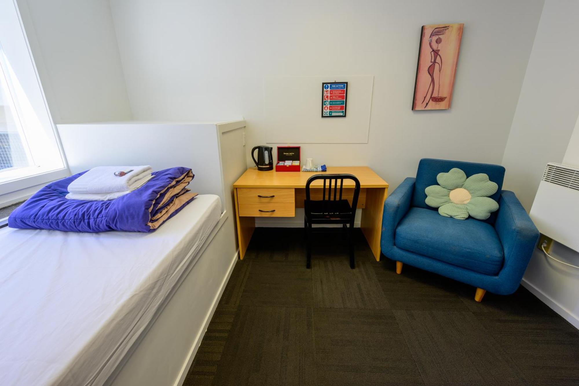 Trek Global Backpackers Hostal *