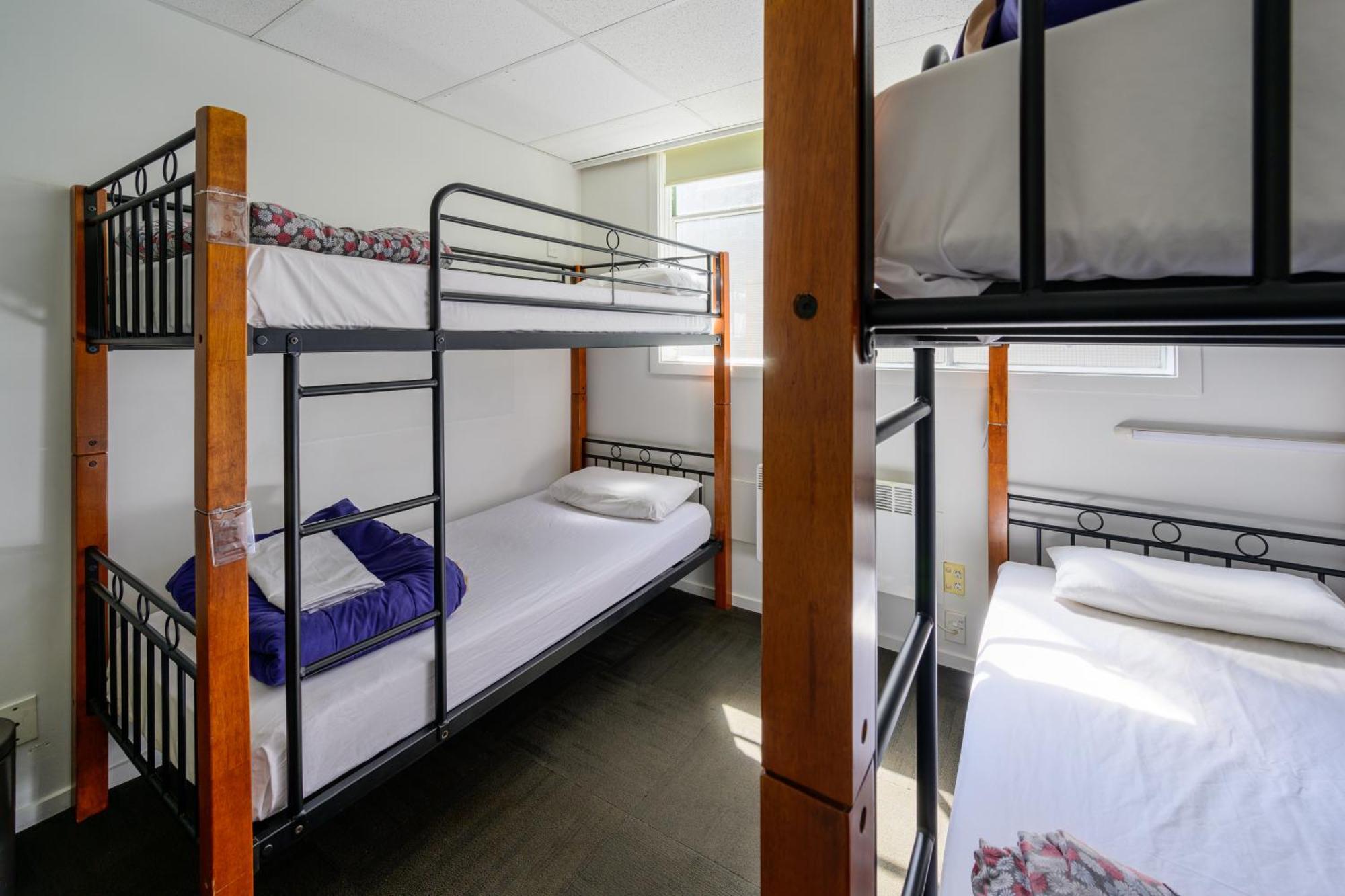 Trek Global Backpackers Hostal *