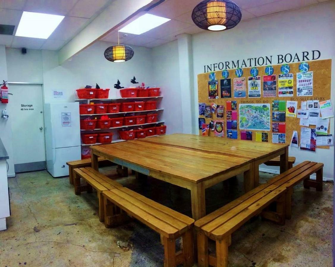 Trek Global Backpackers Hostal
